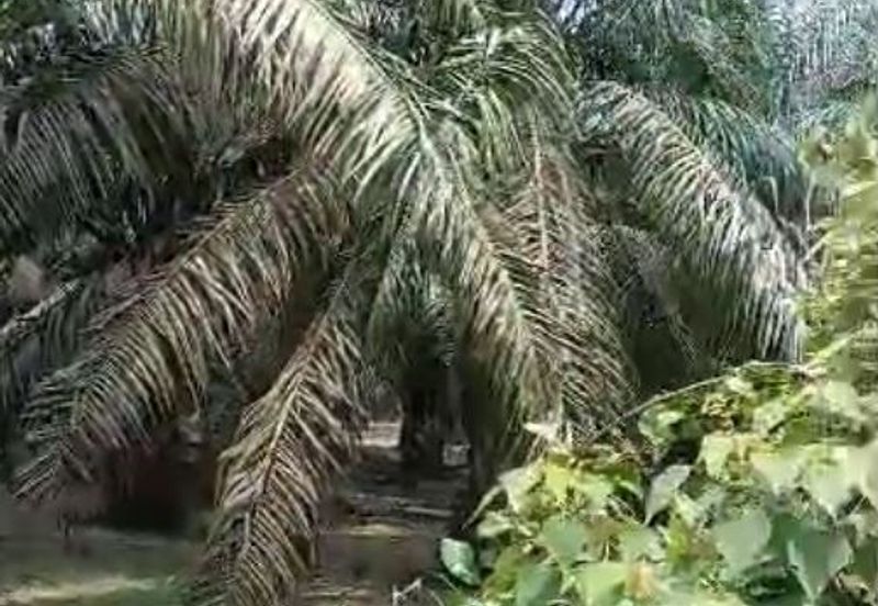 Seksyen 4, Pekan Bestari Jaya