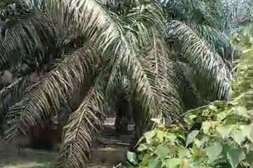 Seksyen 4, Pekan Bestari Jaya