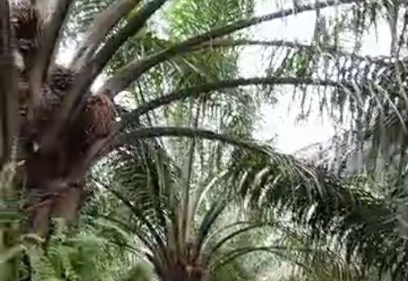 Seksyen 4, Pekan Bestari Jaya