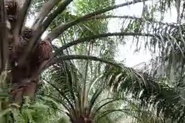 Seksyen 4, Pekan Bestari Jaya