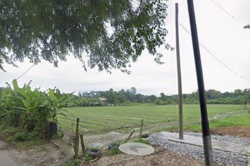 Kampung Sungai Choh, Rawang Agricultural Land For Rent