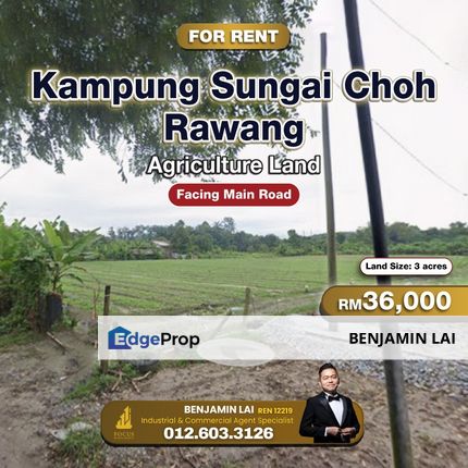 Kampung Sungai Choh, Rawang Agricultural Land For Rent, Selangor, Rawang