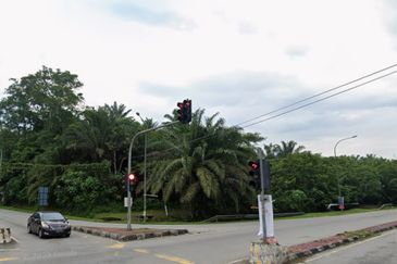 Batang Kali, Selangor Agriculture Land For Sale