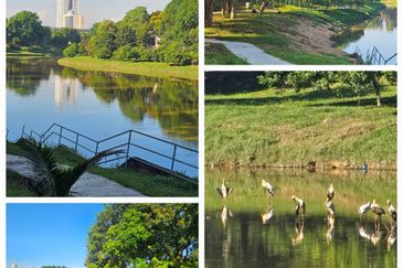 Jalan Sepah Puteri 5/20