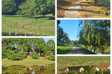 Jalan Sepah Puteri 5/20