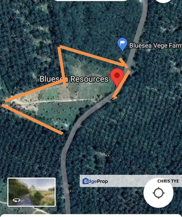 Port Dickson @ AGRICULTURAL LAND, Negeri Sembilan, Port Dickson