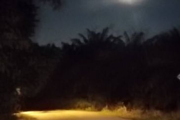 Port Dickson @ AGRICULTURAL LAND