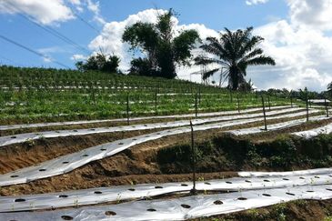 Pelan Tanah ,  Selangor Darul Ehsan For Sale