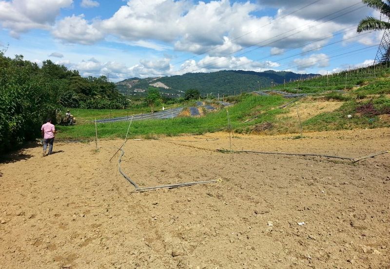 Pelan Tanah ,  Selangor Darul Ehsan For Sale