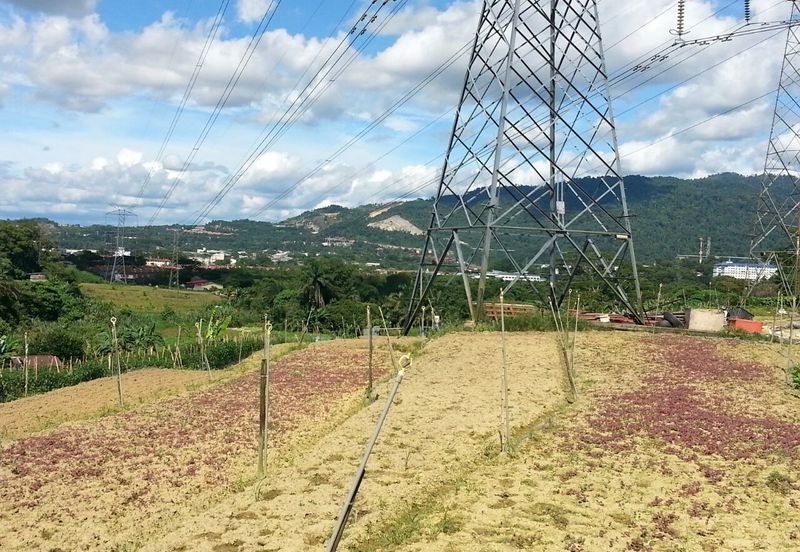 Pelan Tanah ,  Selangor Darul Ehsan For Sale