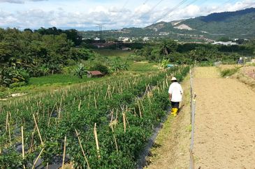 Pelan Tanah ,  Selangor Darul Ehsan For Sale