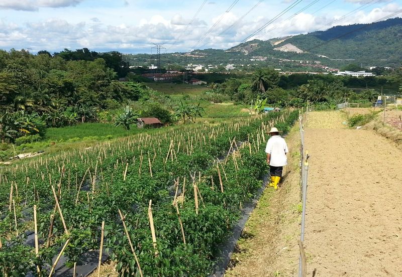 Pelan Tanah ,  Selangor Darul Ehsan For Sale