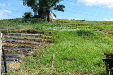 Pelan Tanah ,  Selangor Darul Ehsan For Sale