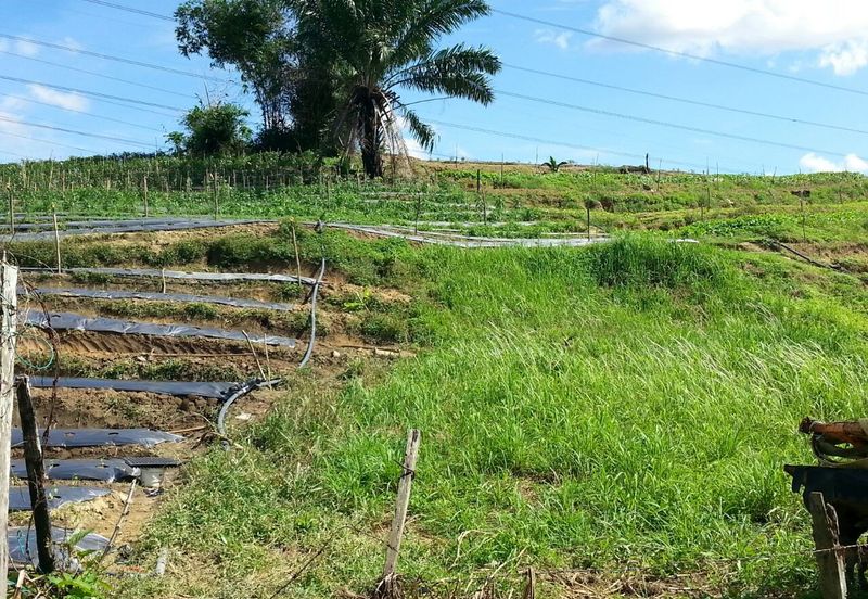 Pelan Tanah ,  Selangor Darul Ehsan For Sale