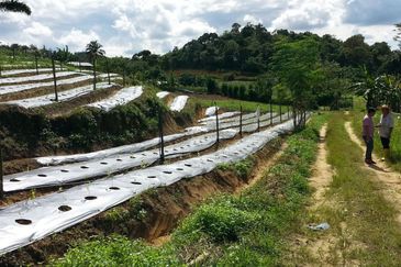 Pelan Tanah ,  Selangor Darul Ehsan For Sale