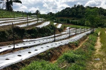 Pelan Tanah ,  Selangor Darul Ehsan For Sale