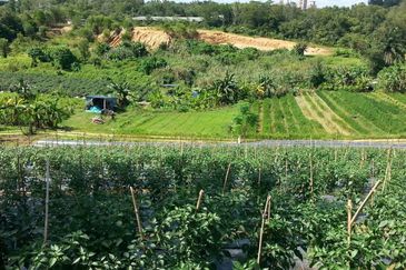 Pelan Tanah ,  Selangor Darul Ehsan For Sale