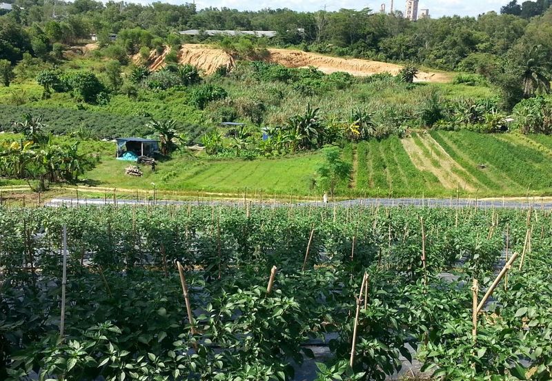 Pelan Tanah ,  Selangor Darul Ehsan For Sale