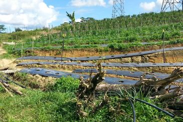 Pelan Tanah ,  Selangor Darul Ehsan For Sale