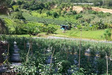 Pelan Tanah ,  Selangor Darul Ehsan For Sale