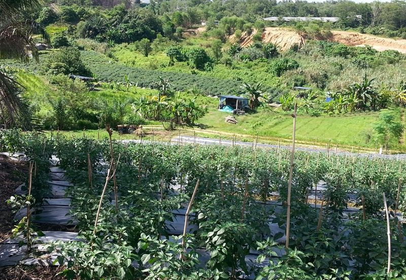 Pelan Tanah ,  Selangor Darul Ehsan For Sale