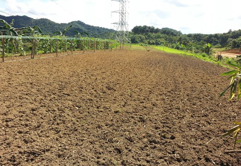 Pelan Tanah ,  Selangor Darul Ehsan For Sale