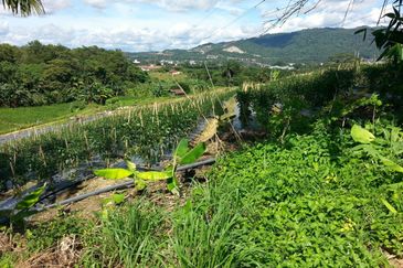 Pelan Tanah ,  Selangor Darul Ehsan For Sale