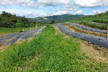 Pelan Tanah ,  Selangor Darul Ehsan For Sale