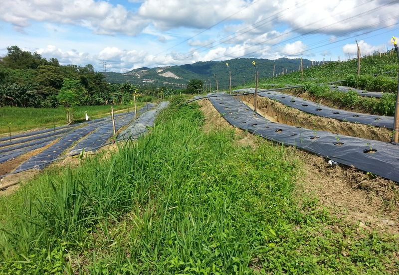 Pelan Tanah ,  Selangor Darul Ehsan For Sale