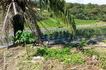 Pelan Tanah ,  Selangor Darul Ehsan For Sale