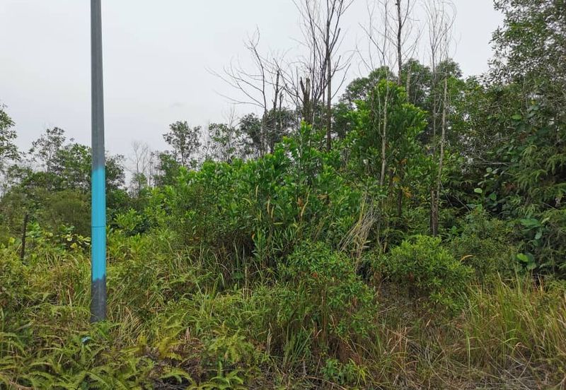 Bandar Bukit Mahkota