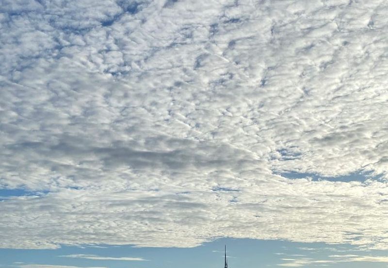 Vogue Suites 1 @ KL Eco City