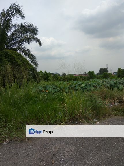 Land to let, Selangor, Puchong