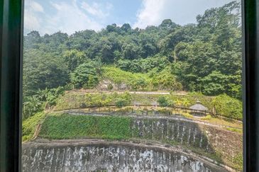 The Trees, Bukit Lanjan
