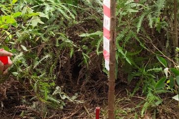 Tanah Lot Banglo Bukit Damar