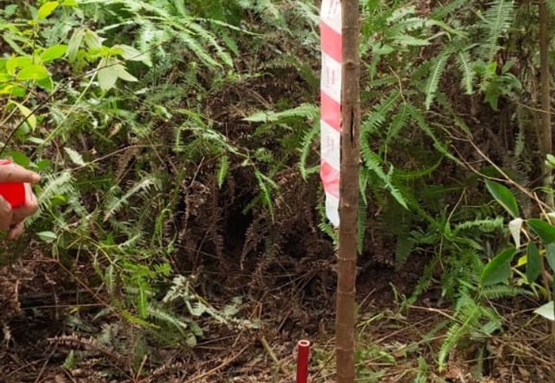 Tanah Lot Banglo Bukit Damar