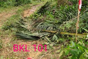 Tanah Lot Banglo Bukit Damar