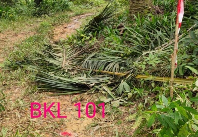 Tanah Lot Banglo Bukit Damar