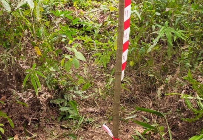 Tanah Lot Banglo Bukit Damar