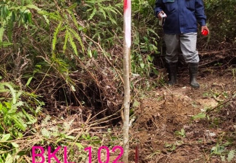 Tanah Lot Banglo Bukit Damar