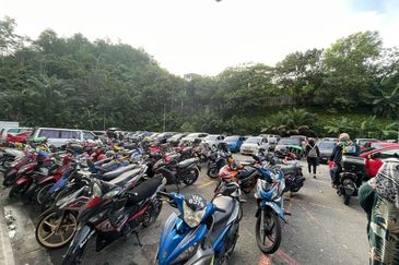 Selayang Mulia Apartment Mawar & Teratai