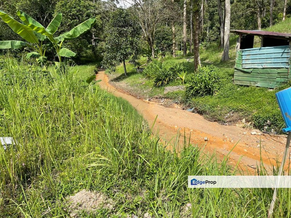 Tanah Pertanian Sungai Pusu Gombak Ada Aliran Sungai, Selangor, Gombak