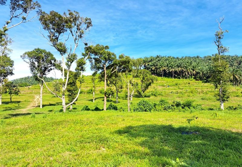 Kerling Industrial Land