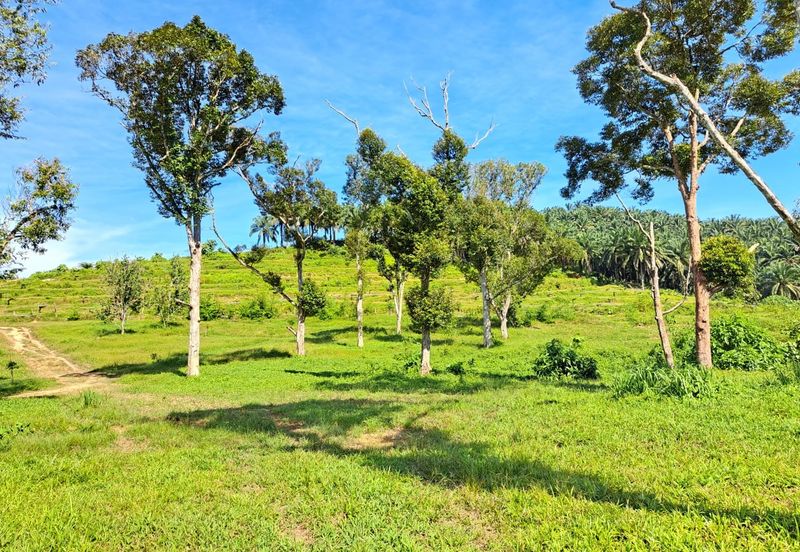 Kerling Industrial Land