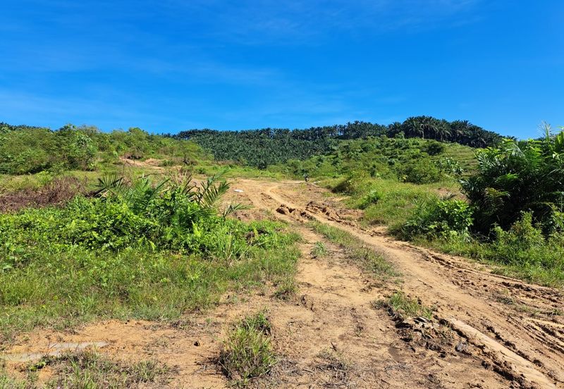 Kerling Industrial Land