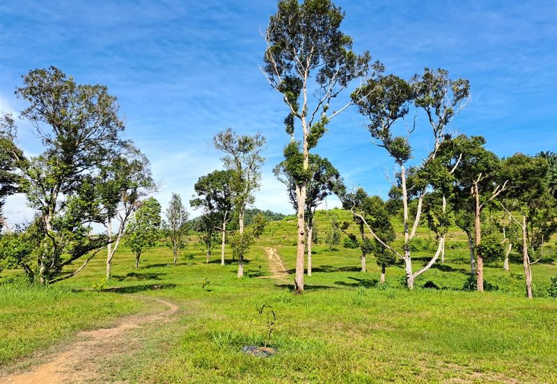 Kerling Industrial Land