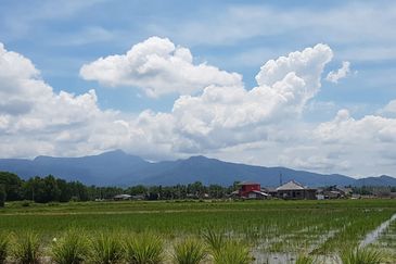 Bandar Sungai Petani