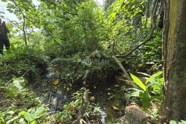 Telok Panglima Garang Industrial Zone