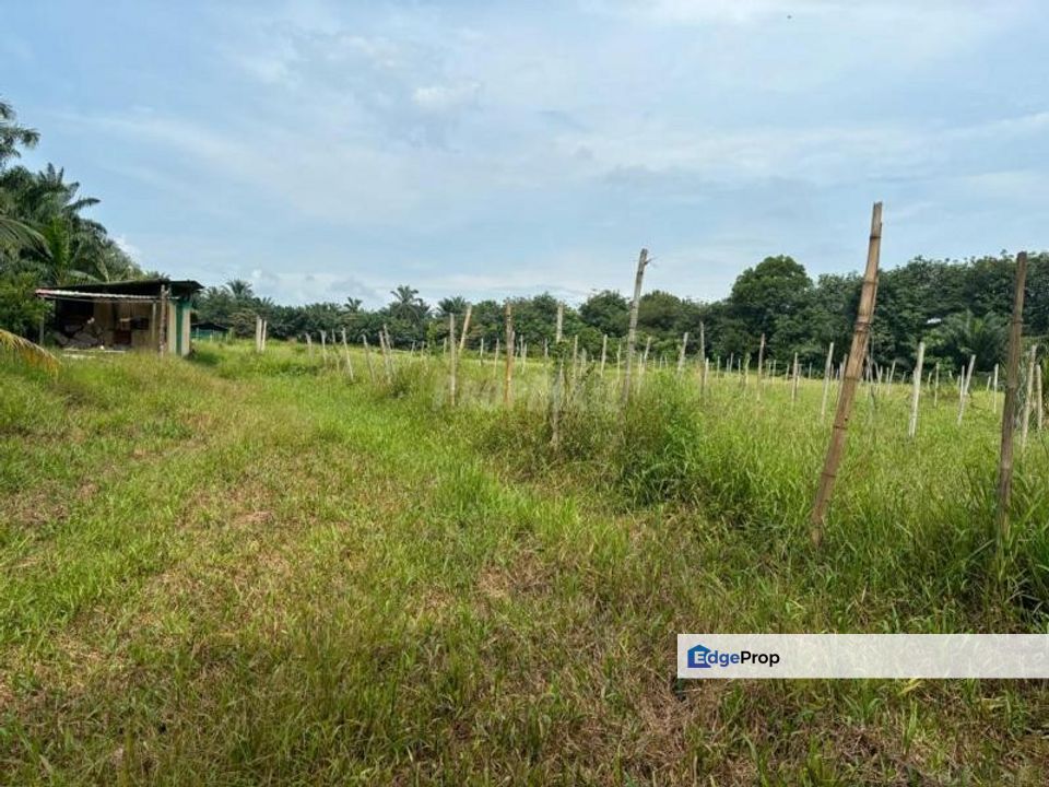 Industrial Land Telok Panglima Garang, Selangor, Telok Panglima Garang