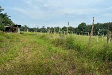 Telok Panglima Garang Industrial Zone